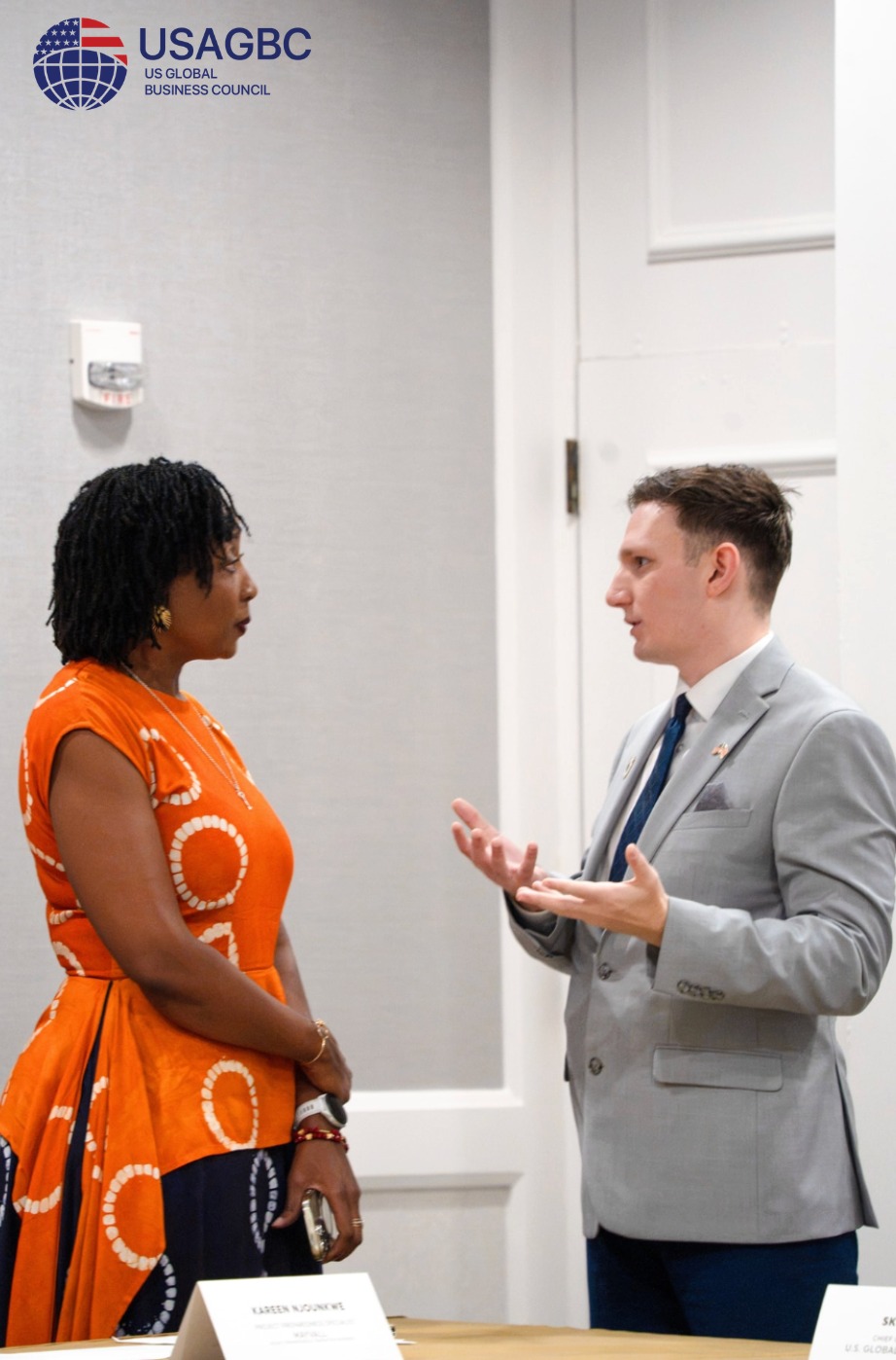 Diaspora Capital & Development Finance Deal Room
